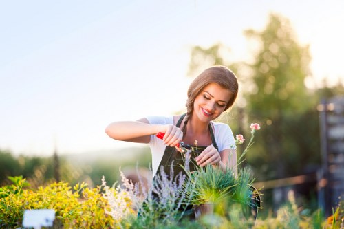 Professional lawn mowing service in Sutton