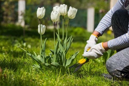 Seasonal lawn maintenance strategies