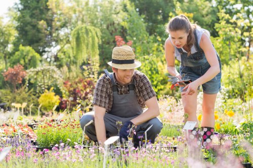 Efficient lawn mowing equipment in Sutton