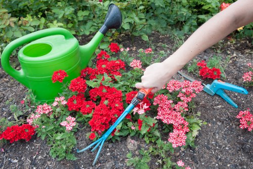Tree service professionals maintaining Sutton landscapes