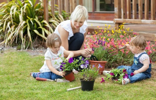 Professionally trimmed garden hedges in Sutton