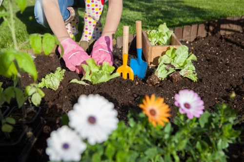 Mulch spread around a community garden created from recycled green waste