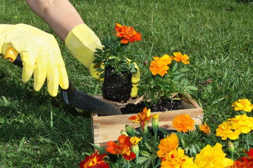 Advanced mowing technology for Sutton lawns