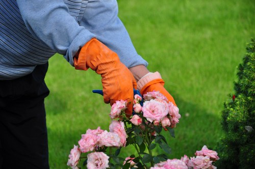 Healthy green lawn maintained by experts