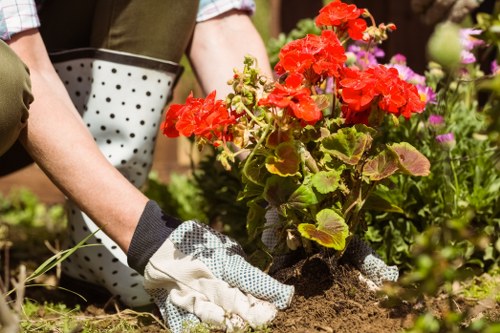 High-quality lawn maintenance in Sutton