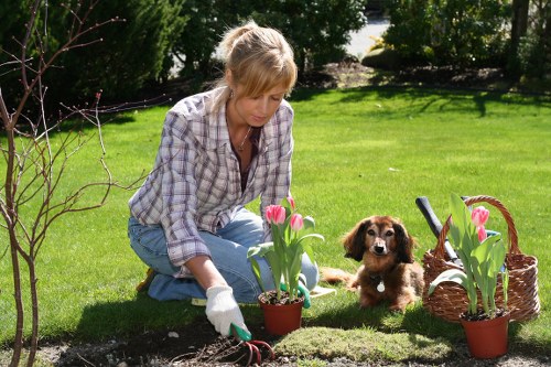 Professional garden clearance team at work in Sutton