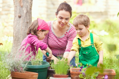 Comprehensive lawn care services offered by About Us Lawn Mowing Sutton