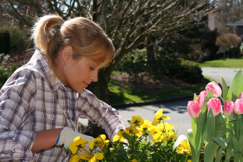 Sustainable tree management practices in Sutton